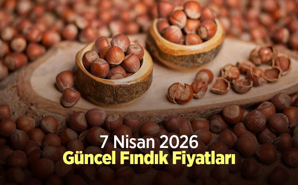 7 Nisan 2026 Güncel Fındık Fiyatları