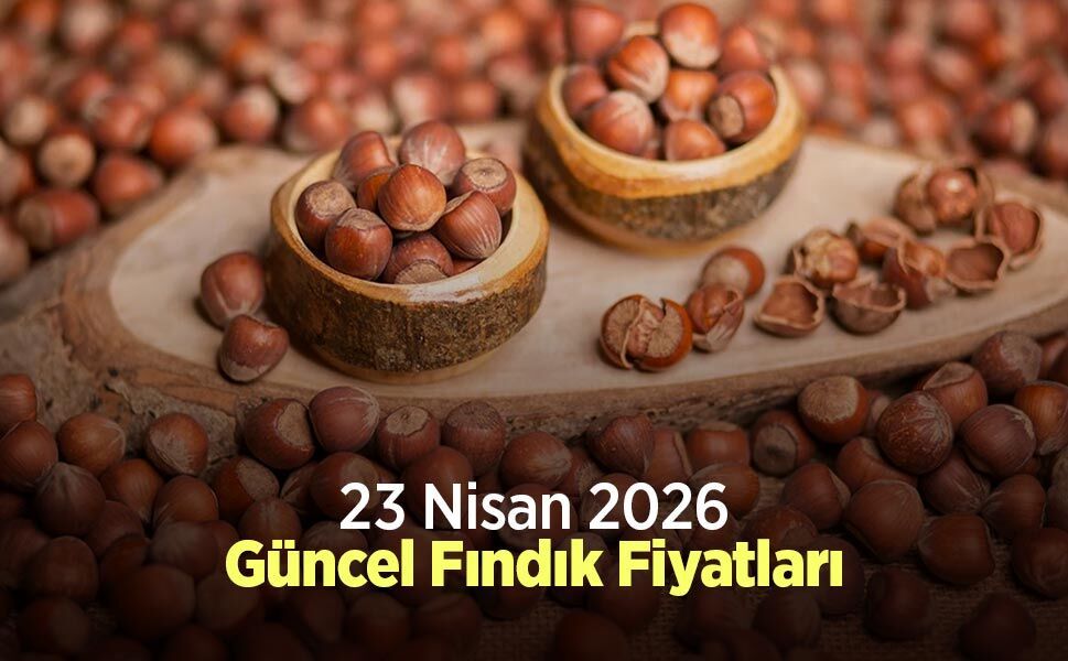 23 Nisan 2026 Güncel Fındık Fiyatları