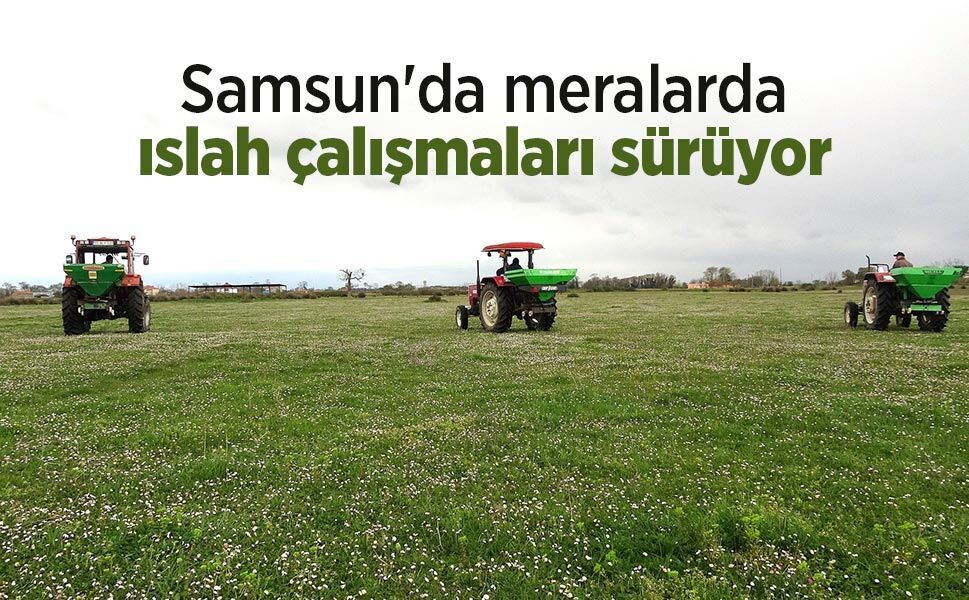 Samsun'da meralarda ıslah çalışmaları sürüyor