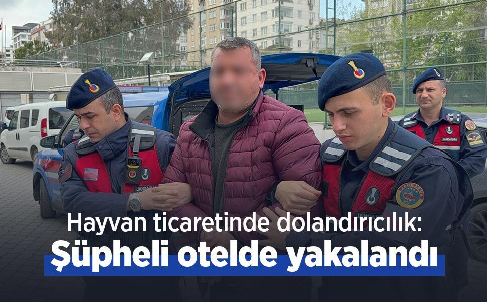 Hayvan ticaretinde dolandırıcılık: Şüpheli otelde yakalandı