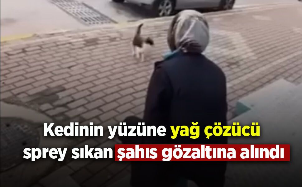 Kedinin yüzüne sprey sıkan market çalışanı gözaltına alındı