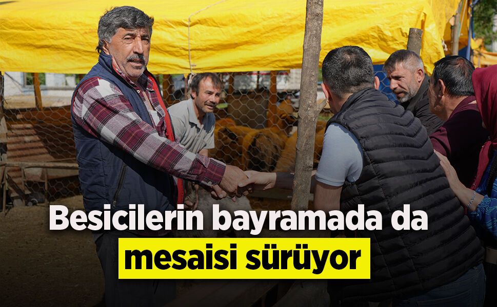 Besicilerin kurbanda da mesaisi sürüyor