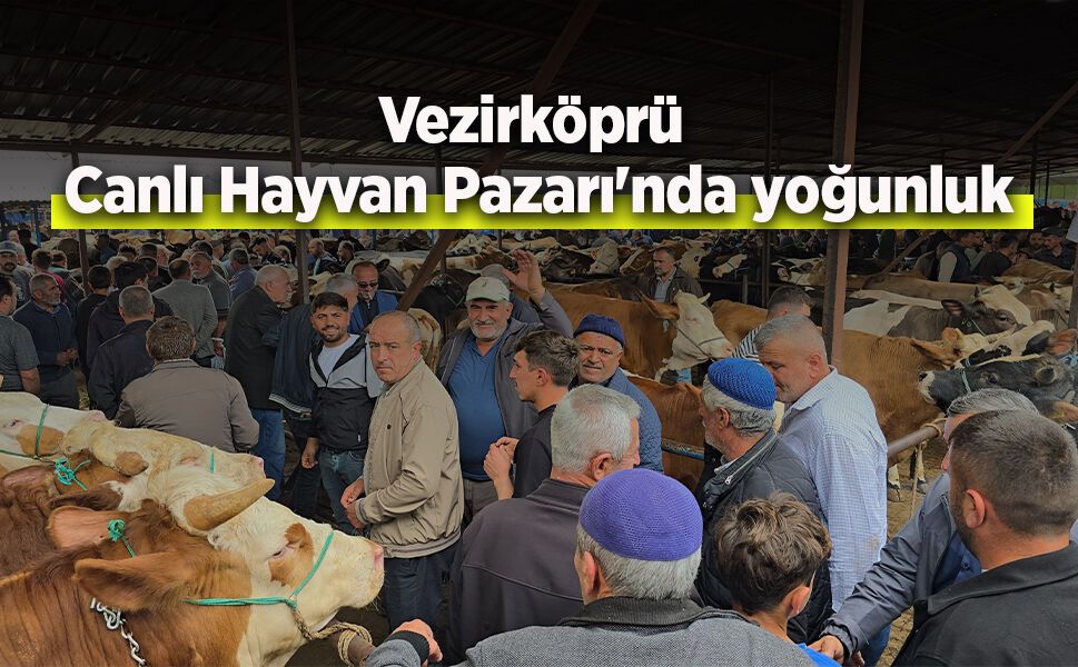 Vezirköprü Canlı Hayvan Pazarı'nda yoğunluk
