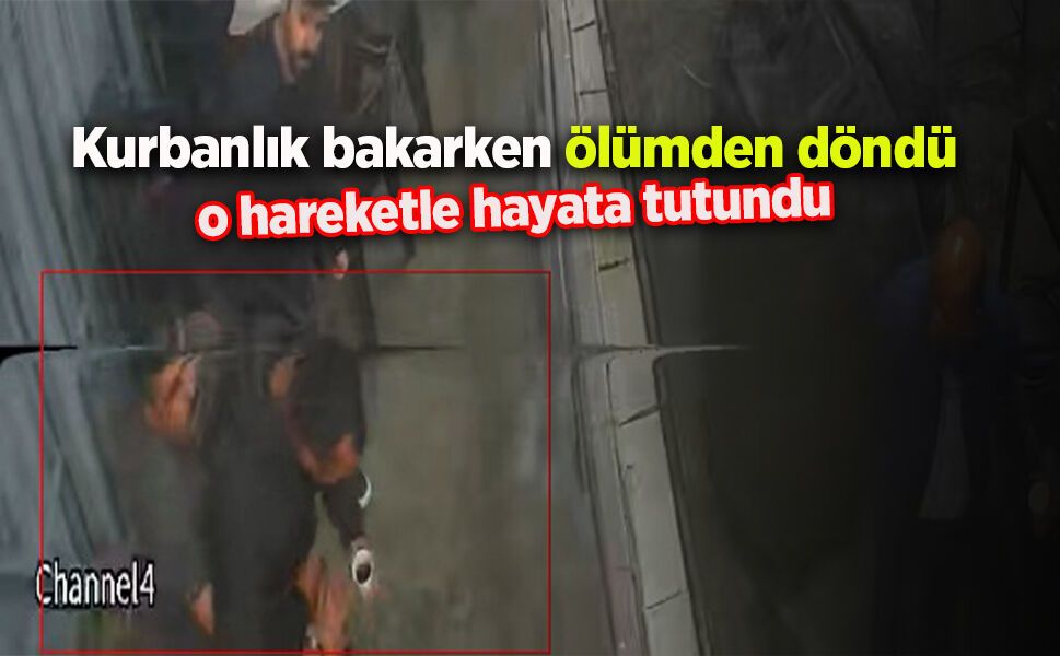 Kurbanlık bakarken ölümden döndü