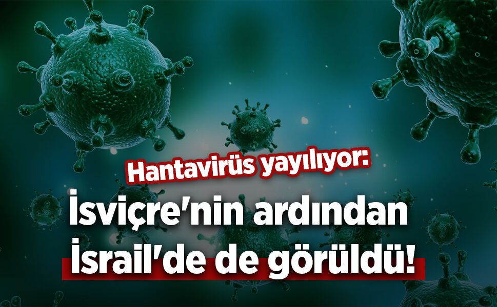 Hantavirüs yayılıyor: İsviçre'nin ardından İsrail'de de görüldü!