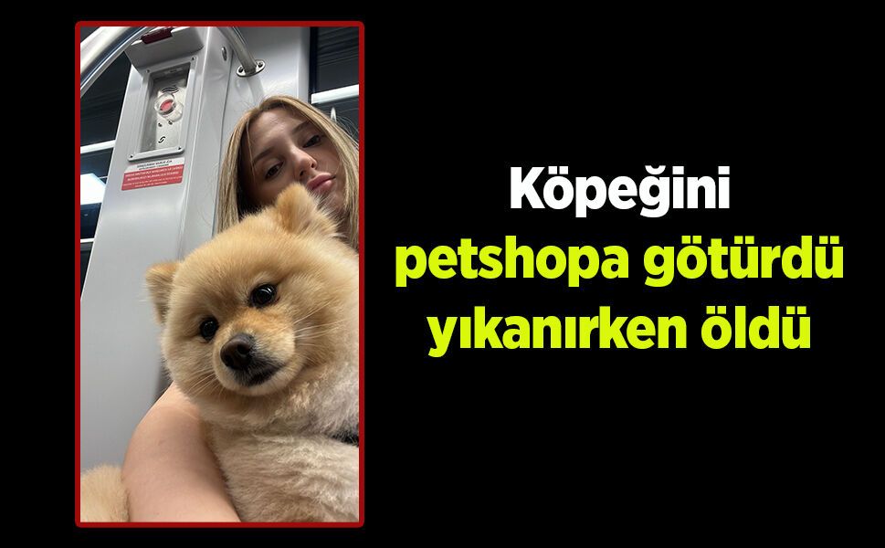 Köpeğini petshopa götürdü yıkanırken öldü