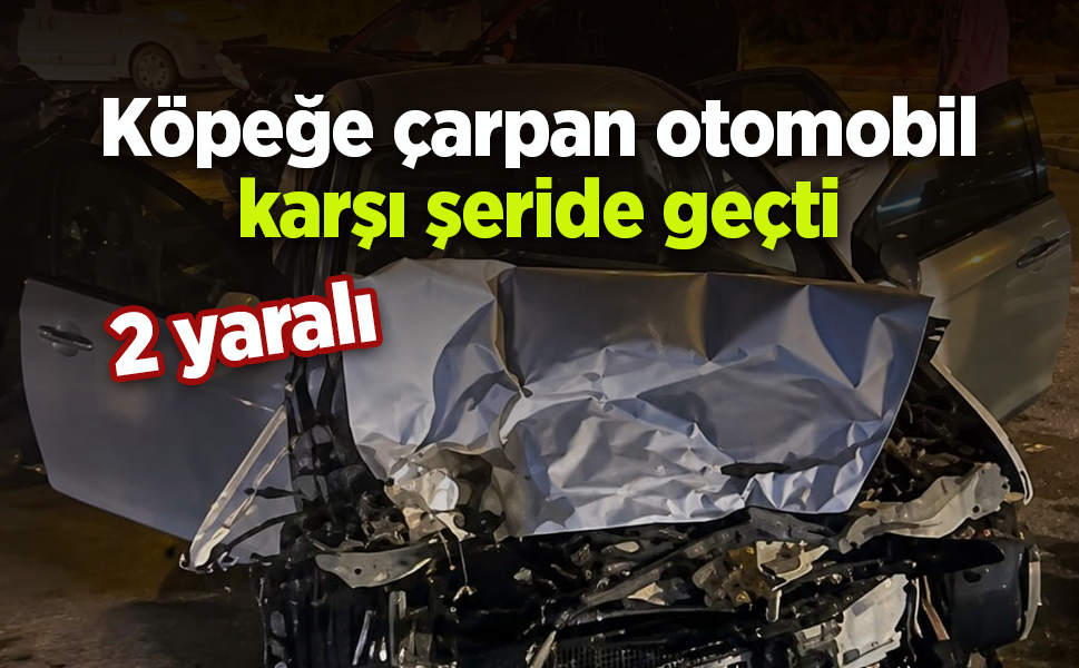 Köpeğe çarpan otomobil karşı şeride geçti: 2 yaralı