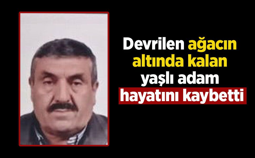 Devrilen ağacın altında kalan yaşlı adam hayatını kaybetti