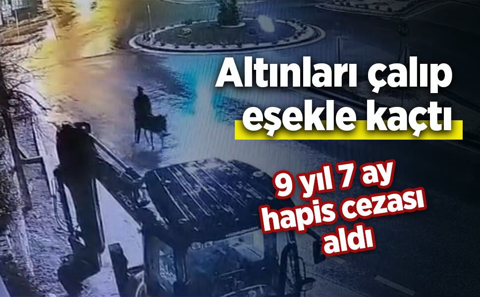Altınları çalıp eşekle kaçtı, 9 yıl 7 ay hapis cezası aldı