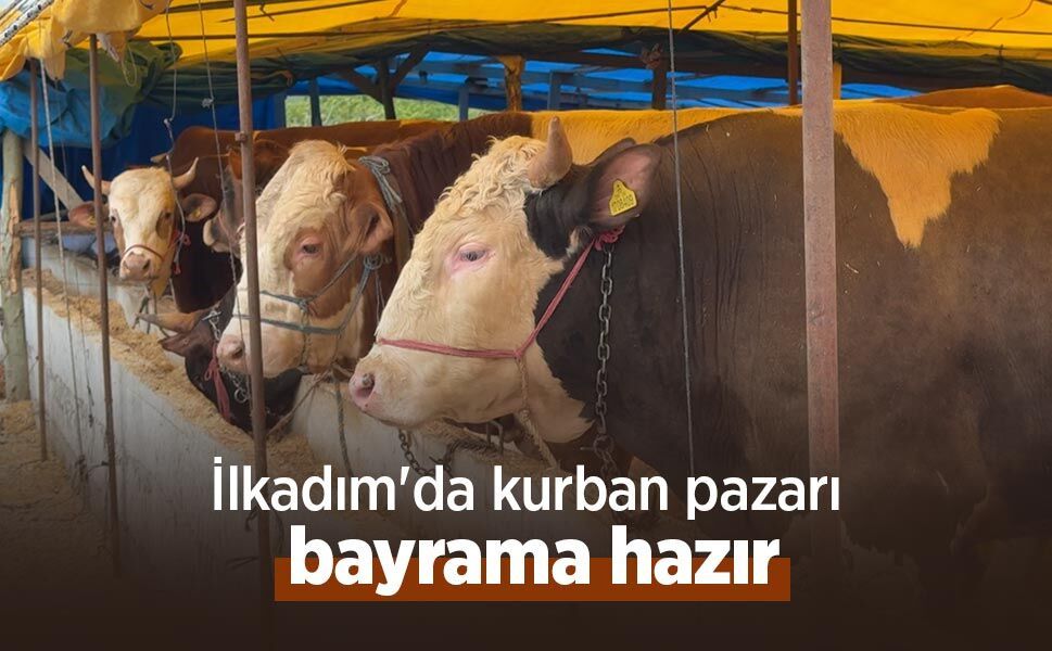 İlkadım'da kurban pazarı bayrama hazır