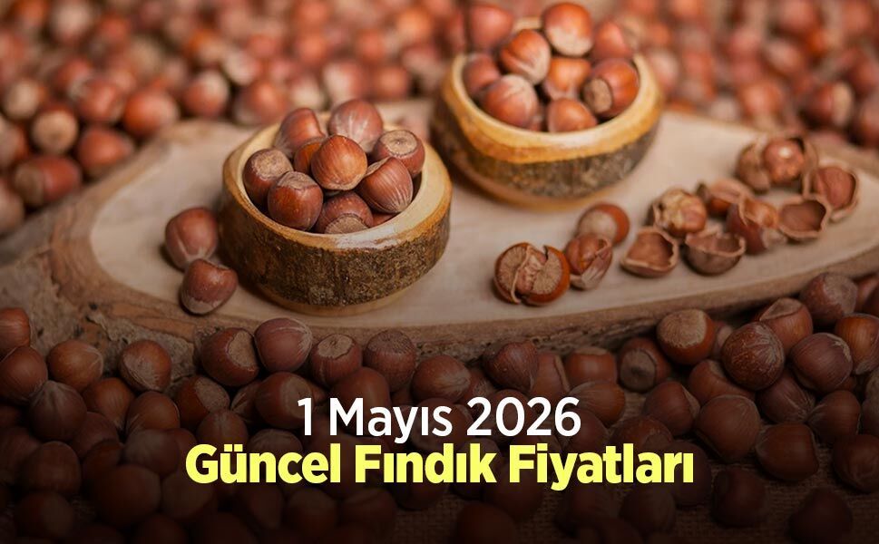 1 Mayıs 2026 Güncel Fındık Fiyatları
