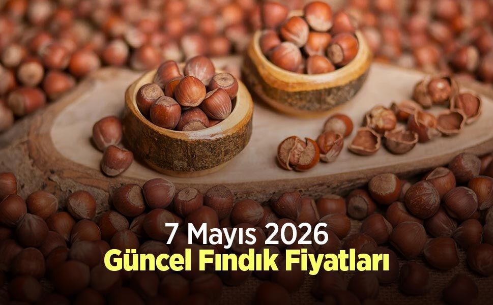 7 Mayıs 2026 Güncel Fındık Fiyatları