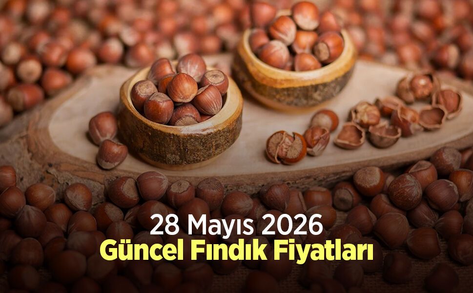 27 Mayıs 2026 Güncel Fındık Fiyatları