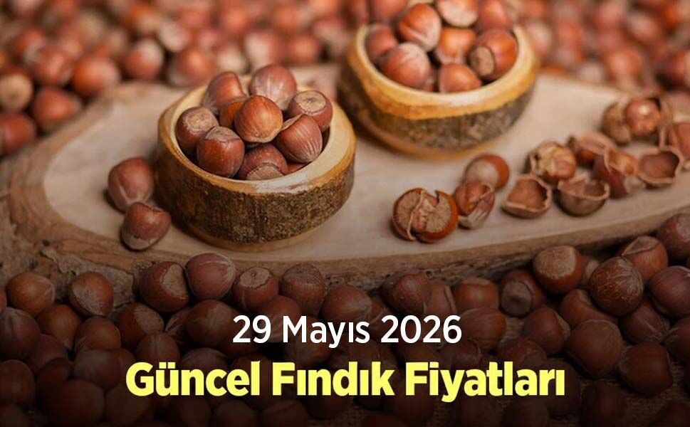 28 Mayıs 2026 Güncel Fındık Fiyatları