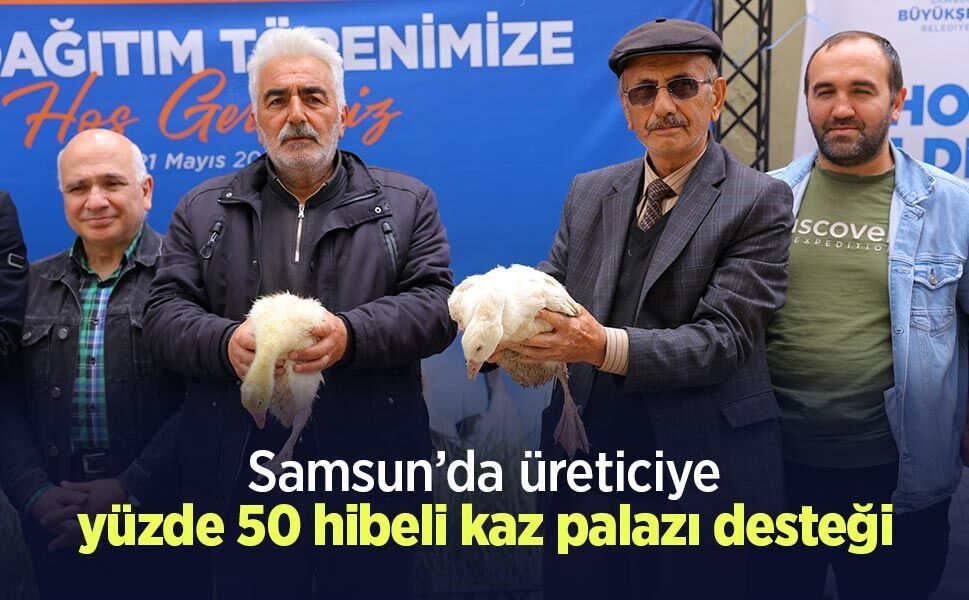 Samsun’da üreticiye yüzde 50 hibeli kaz palazı desteği