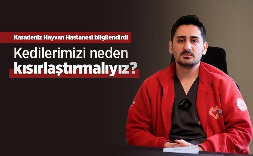 Karadeniz Hayvan Hastanesi bilgilendirdi: "Kedilerimizi neden kısırlaştırmalıyız?"