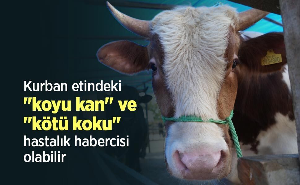 Kurban etindeki "koyu kan" ve "kötü koku" hastalık habercisi olabilir