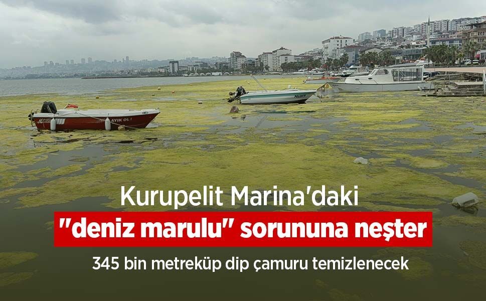 Kurupelit Marina'daki "deniz marulu" sorununa neşter: 345 bin metreküp dip çamuru temizlenecek