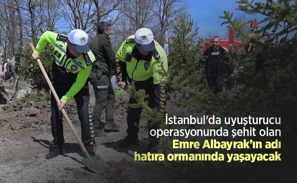İstanbul'da uyuşturucu operasyonunda şehit olan Emre Albayrak’ın adı hatıra ormanında yaşayacak