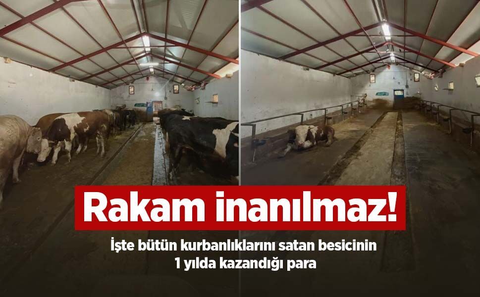 Rakam inanılmaz! İşte bütün kurbanlıklarını satan besicinin 1 yılda kazandığı para