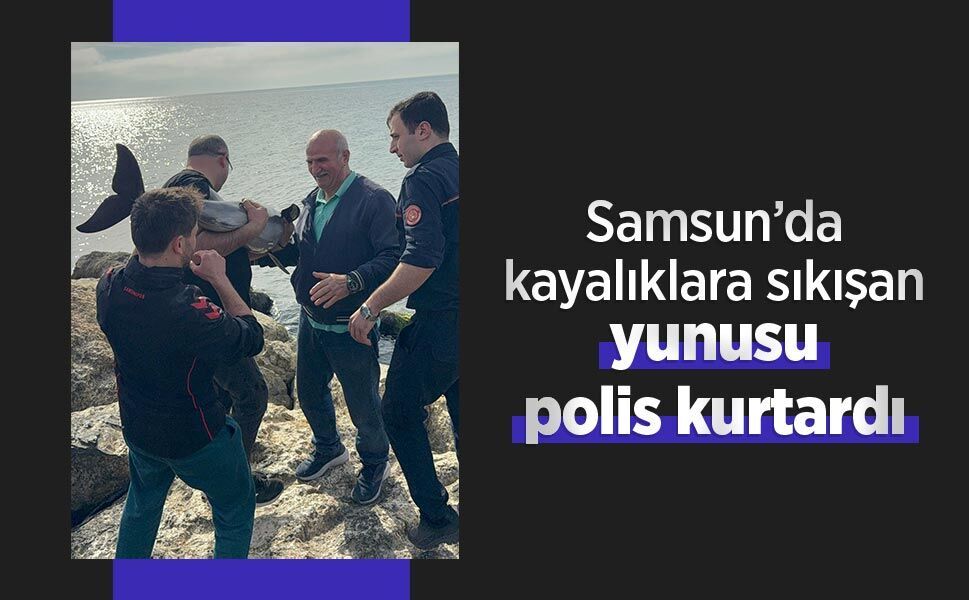 Samsun’da kayalıklara sıkışan yunusu polis kurtardı