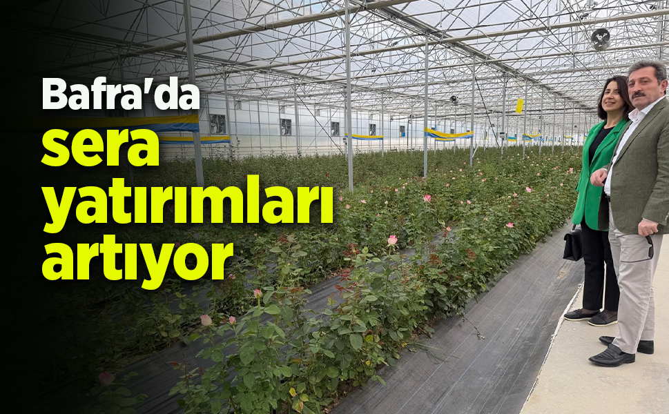 Bafra'da sera yatırımları artıyor