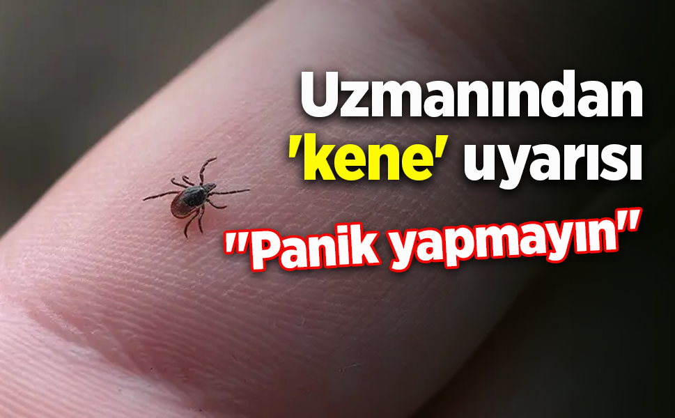 Uzmanından 'kene' uyarısı: "Panik yapmayın"