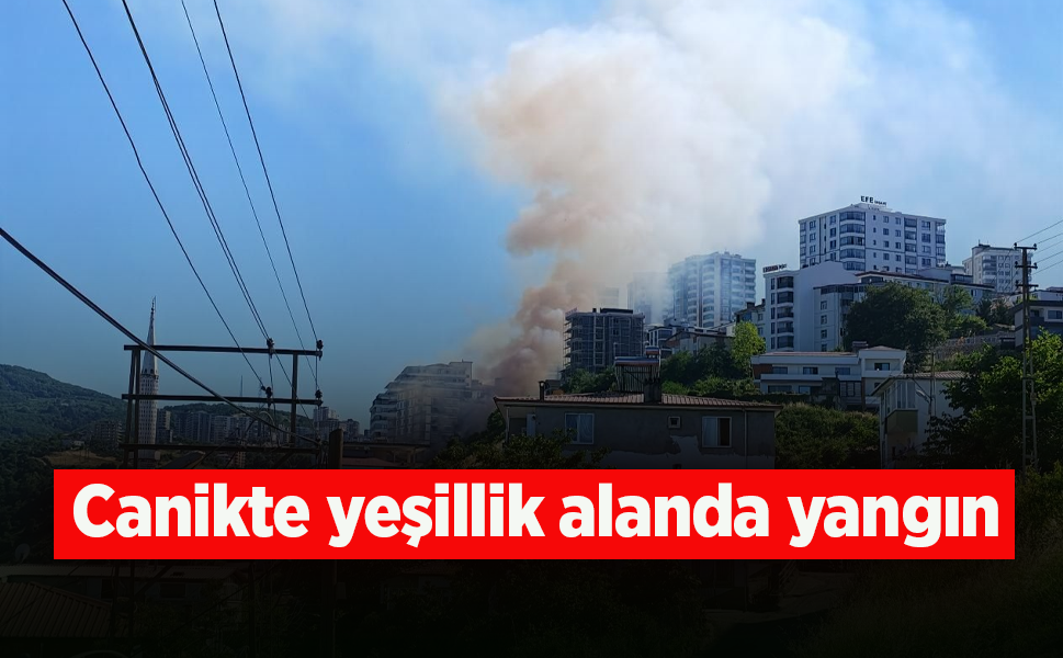 Canik'te yeşillik alanda yangın