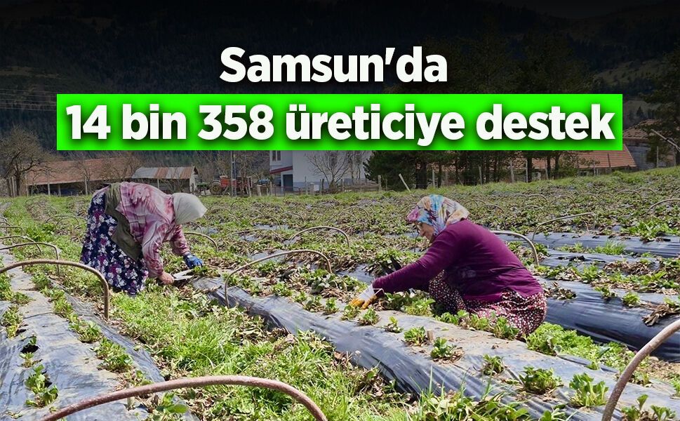 Samsun'da 14 bin 358 üreticiye destek