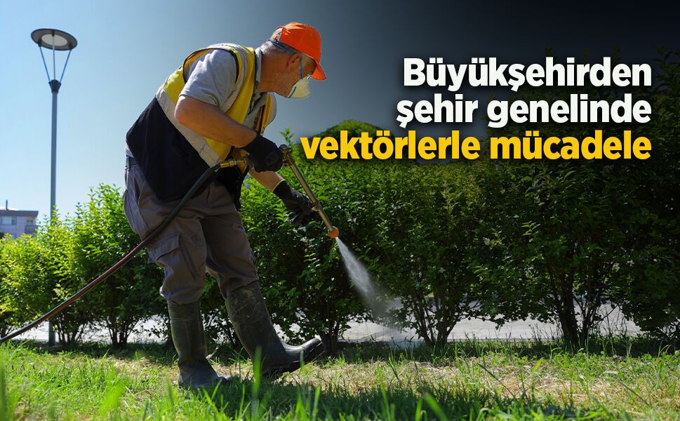 Büyükşehirden şehir genelinde vektörlerle mücadele