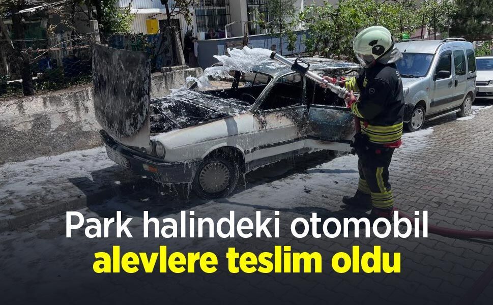 Park halindeki otomobil alevlere teslim oldu