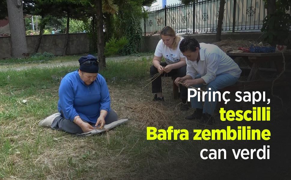 Pirinç sapı, tescilli Bafra zembiline can verdi
