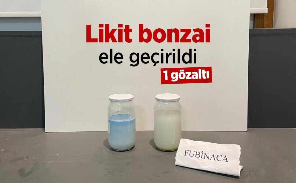 Likit bonzai ele geçirildi: 1 gözaltı