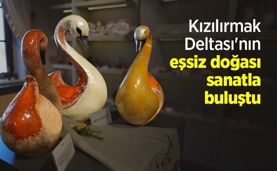 Kızılırmak Deltası'nın eşsiz doğası sanatla buluştu - samsunhaber.com