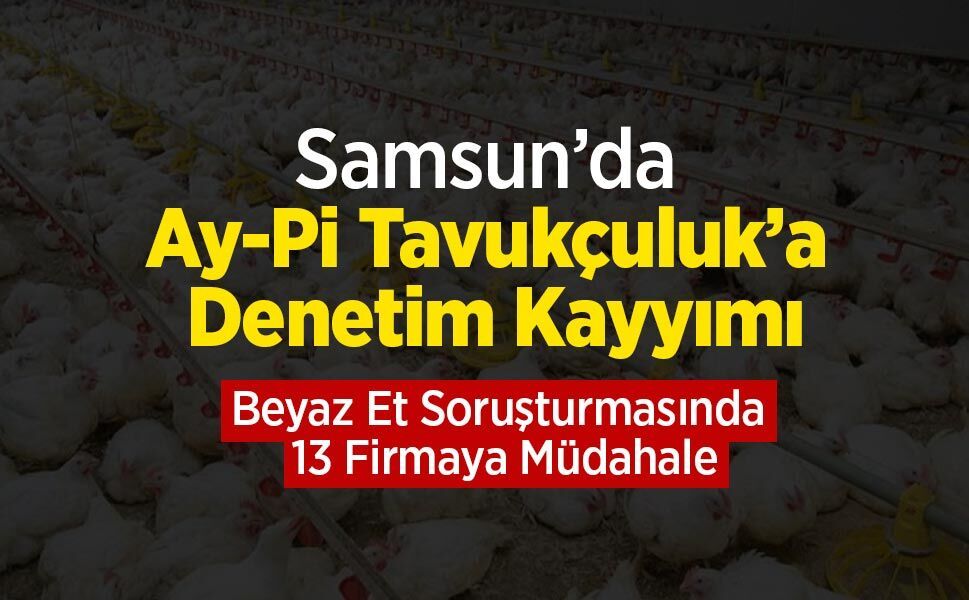Samsun’da Ay-Pi Tavukçuluk’a Denetim Kayyımı: Beyaz Et Soruşturmasında 13 Firmaya Müdahale