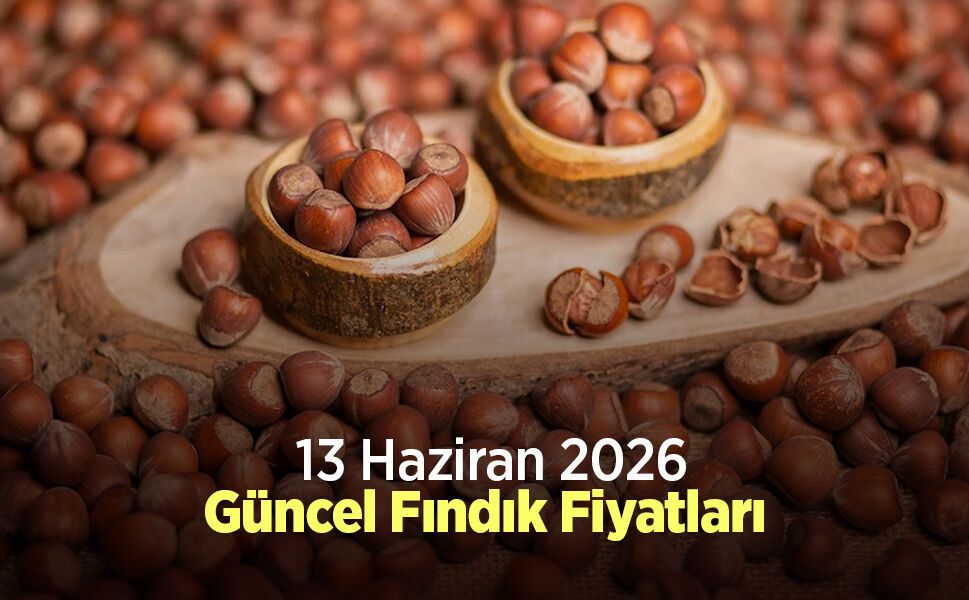 13 Haziran 2026 Güncel Fındık Fiyatları