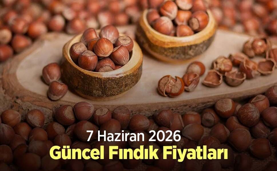 7 Haziran 2026 Güncel Fındık Fiyatları
