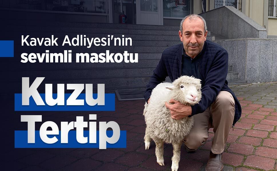 Kavak Adliyesi'nin sevimli maskotu: Kuzu Tertip