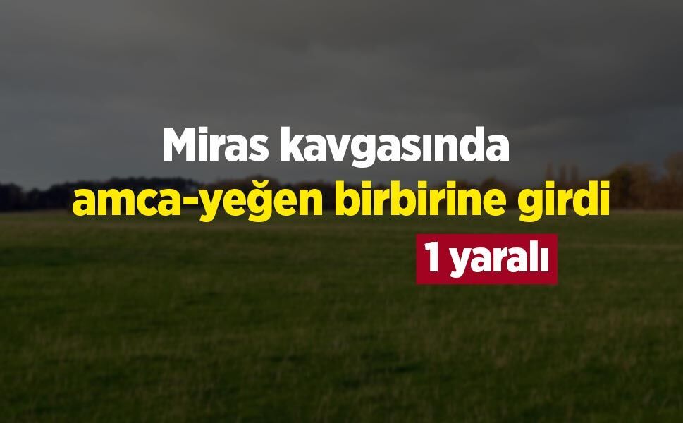 Miras kavgasında amca-yeğen birbirine girdi: 1 yaralı
