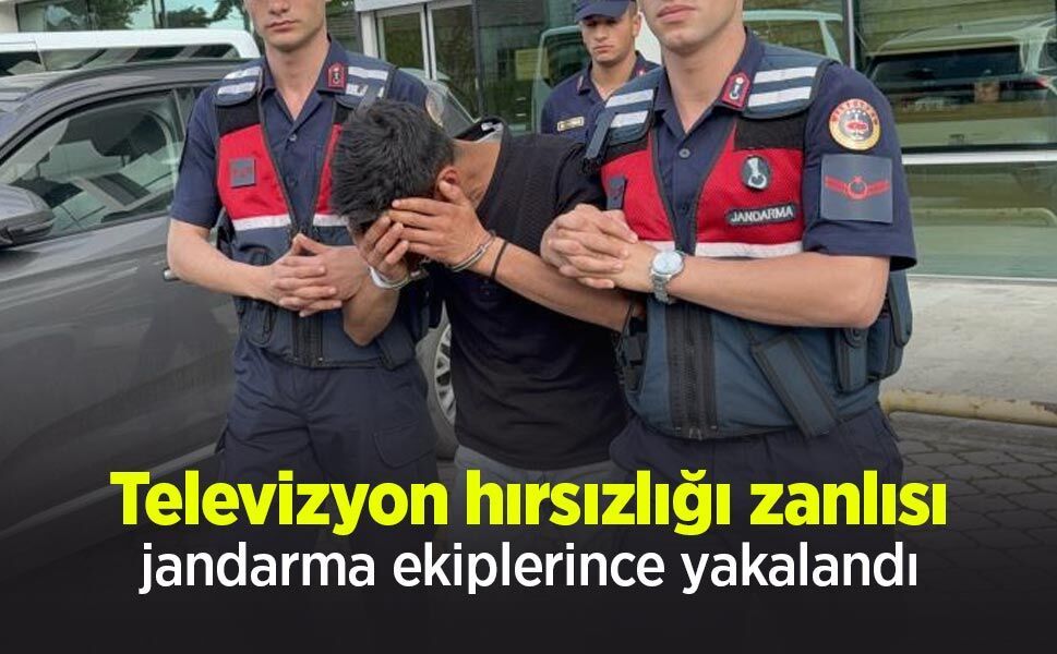 Televizyon hırsızlığı zanlısı, jandarma ekiplerince yakalandı