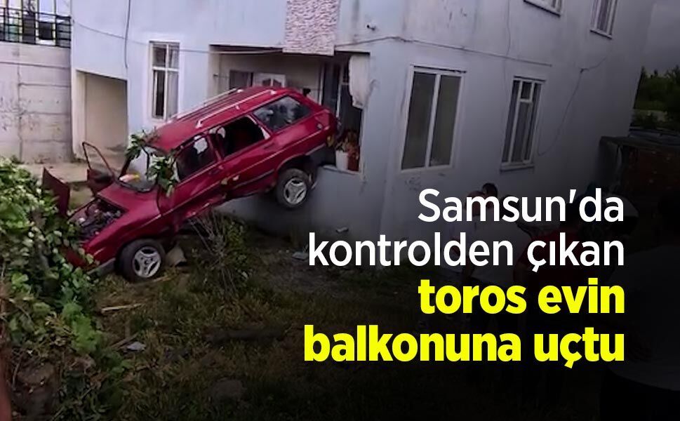 Samsun'da kontrolden çıkan toros evin balkonuna uçtu