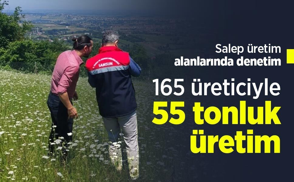 Salep üretim alanlarında denetim: 165 üreticiyle 55 tonluk üretim