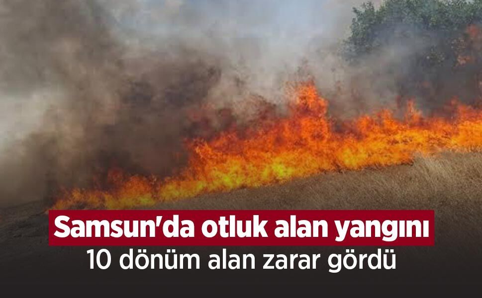 Samsun'da otluk alan yangını: 10 dönüm alan zarar gördü