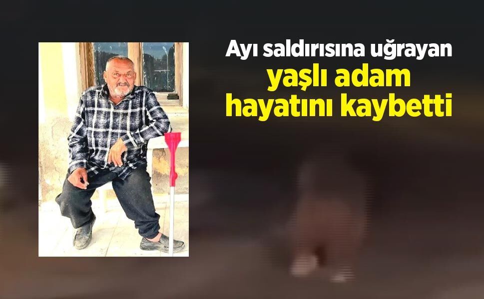 Ayı saldırısına uğrayan yaşlı adam hayatını kaybetti