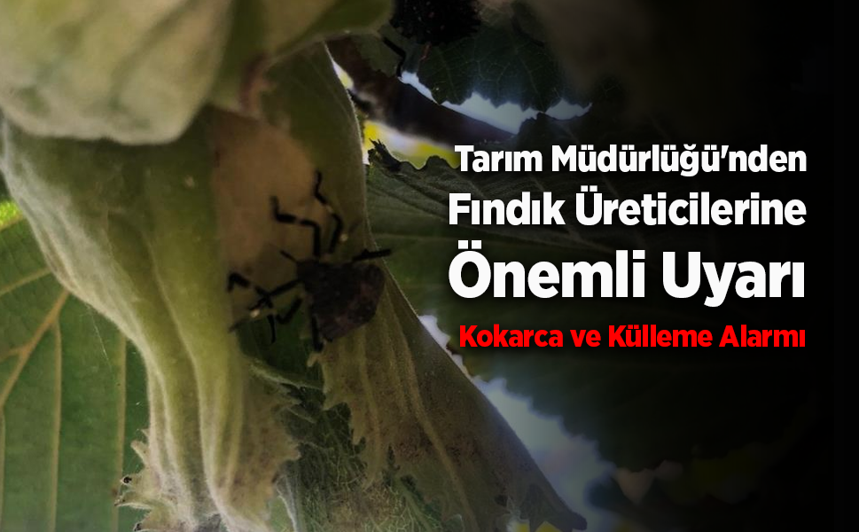 Tarım Müdürlüğü'nden Fındık Üreticilerine Önemli Uyarı