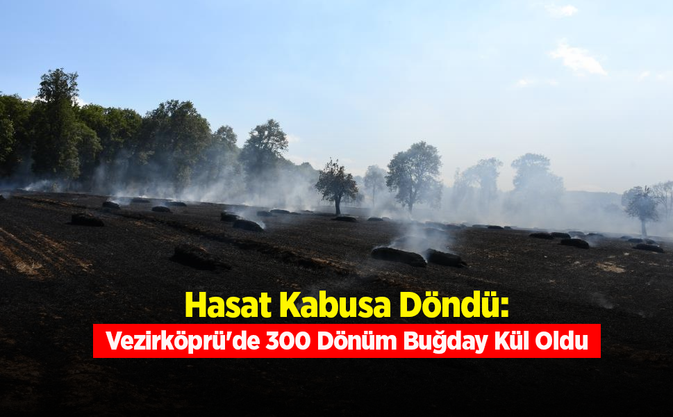 Vezirköprü'de Tarla Yangını: 300 Dönüm Ekili Alan Zarar Gördü