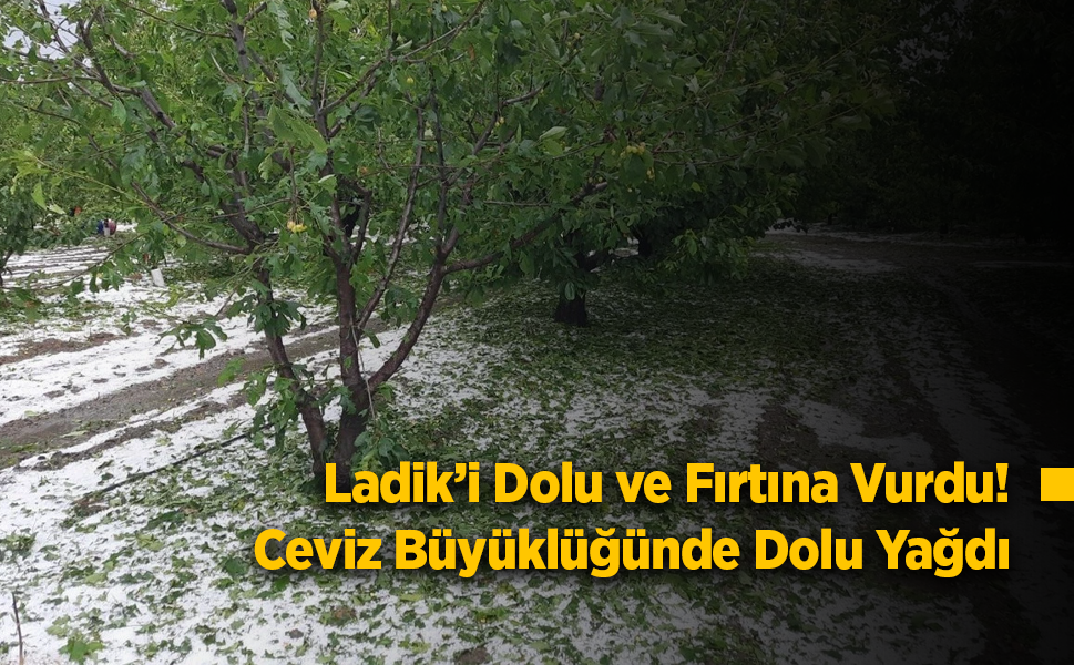 Ladik’i Dolu ve Fırtına Vurdu! Ceviz Büyüklüğünde Dolu Yağdı, Ağaç Devrildi