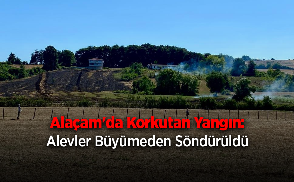 Alaçam'da arazi yangını korkuttu