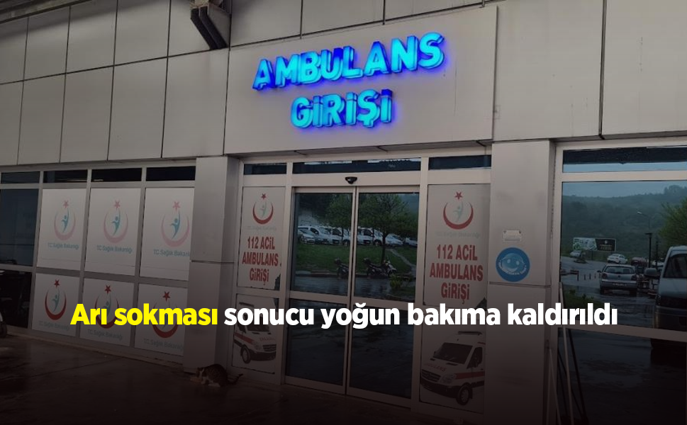 Bahçedeki Mesai Hastanede Bitti: Arı Alerjisi Ölümle Burun Buruna Getirdi
