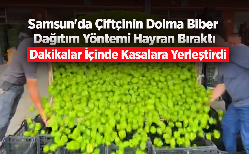 Samsun'da Çiftçinin Dolma Biber Dağıtım Yöntemi Hayran Bıraktı: Kamyondaki Ürünleri Dakikalar İçinde Kasalara Yerleştird